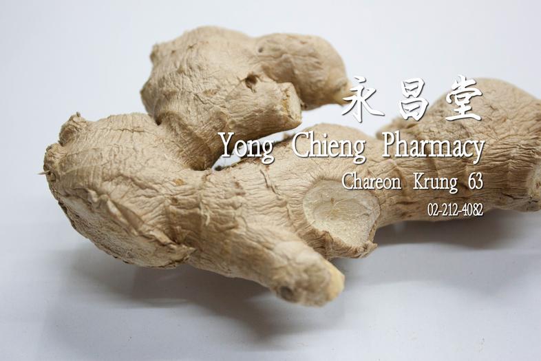 แชเกีย Shengjiang ginger, Rhizoma Zingiberis Recens