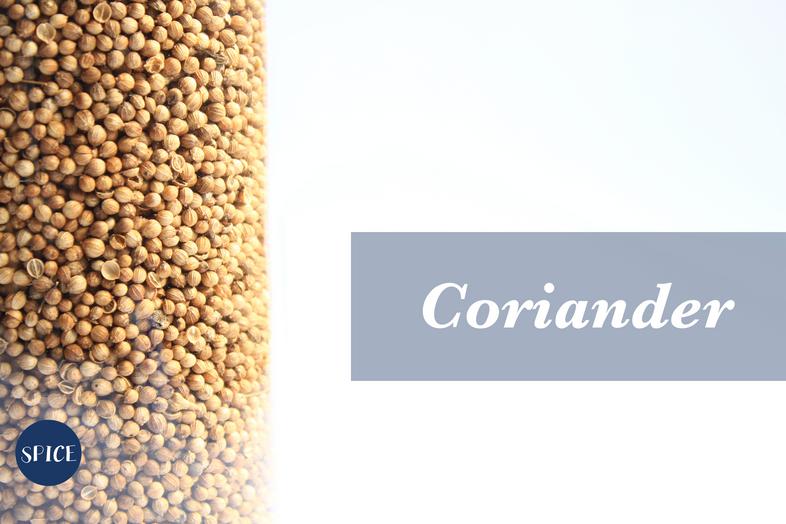 Coriander Coriander Seed ลูกผักชี เมล็ดผักชี เครื่องเทศ धनिया dhaniyā मसाले masaale spice spices